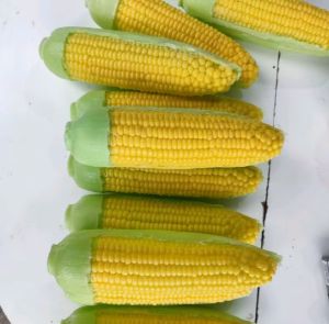 Replika  sayuran / buah jagung cangkang (1 pcs) Edukasi anak / Dekorasi meja makan / Display Restaurant Hotel Dan lain lain