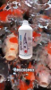 MICRO-MIX 100 mL | BAKTERI STARTER Untuk Koi Penjernih Air dan Pengurai Amonia Pada Akuarium Aquaculture Kolam Ikan Koi dan Ikan Hias Air Tawar | Air Laut