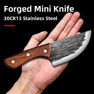 plys | Multipurpose Mini Kitchen Knife