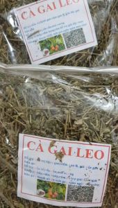 Trà cà gai leo khô (combo 2kg) giải độc gan mát gan men gan cao gan nhiễm mỡ mỡ máu ăn ngủ tốt da dẻ hồng hào HN