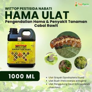 Pestisida Topfarm untuk Cabai Rawit