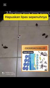 Eradicate the Entire Nest!   Housheng Cockroach Gel Bait – 10 Boxes x 8pcs Kill Roaches & Eggs Ubat Lipas Paling Berkesan