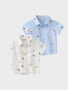 Summer Print Holiday Style Polo Shirt For Boys