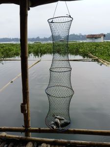 koja ikan bahan jaring nilon Koja pancing panjang 95 cm110 cm