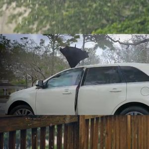 Payung Terbalik Kazbrella Reverse Umbrella Mobil Besar Gagang C 2 Lapis Tahan Hujan Panas Sinar Matahari