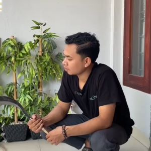 Arit Rumput Baja Per Asli  Super Kuat Gagang di Pin Alat Pertanian - Juragan Pisau