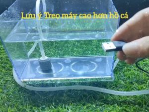 Máy Sủi Oxy 2 Vòi Cổng Usb dùng cho bể cá cảnh