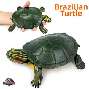 Realistic Brazilian Turtle Model Toy Sea and Land Turtle For Children