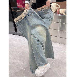 Slim Straight Leg Jeans Womens Thin Summer Spring Loose Wide Leg Pants plus Size Casual High Waist Denim Zipper Style