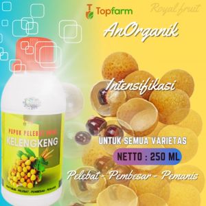 Pupuk Buah Khusus Kelengkeng: Cara Meningkatkan Produksi