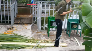 Máy Thái Lát Cỏ Voi Cây Chuối Tặng Kèm 1 Lưỡi Dao Miễn Phí Vận Chuyển