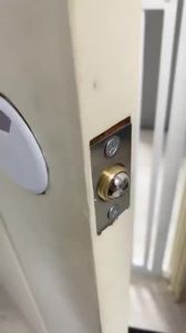 [HCM] Chốt bi inox cố định cửa dùng cho khóa cổng điện tử -Joyee