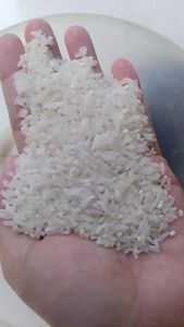 Beras Slyp Super Lokal Berkualitas 2kg