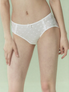 GAINREEL | Breathable Lace Womens Mid-Waist Briefs