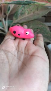 umpan ikan gabus Sigacor soft frog mini ukuran 3 cm Berat 5 gr paling mantap dan ok Bray Telah lulus di uji coba ternyata Sigacor manis tiada tandingan nya Dalam Vidio ini real yah