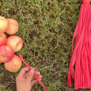 100pcs Fruit / Vegetable Net Bag Reusable Food-Grade Nylon Mesh Bag for Vegetables Seafood Packaging
