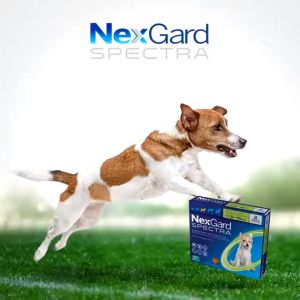 NexGard Spectra Dog ORI 100% Obat Kutu Anjing Demodex Scabies