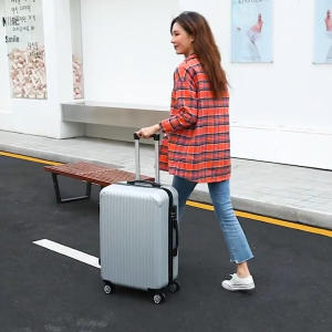 PG Classic Luggage 20/24 Inch Travel Suitcase Hard Shell Travel Bag Spinner ABS+PC Case Trolley