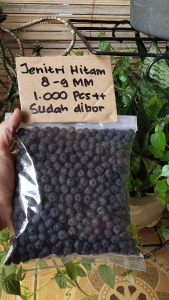 Rudraksha Jenitri 8-9MM Varian Pcs 200++ & 1000++ Sudah Di Lubangi - 200 ++ 8-9MM Tersedia Variasi Hitam