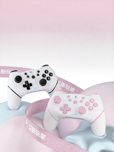 ACEGAMER | Wireless NS Pro Gaming Controller
