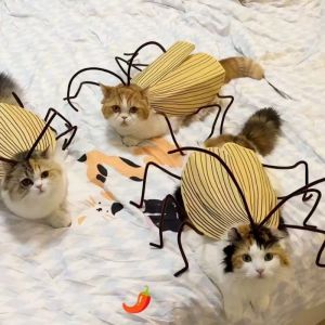 Creative Cute Pet Clothes Cockroach Costume Cosplay Cats Dogs Party for Halloween Pet Supplies Cosplay