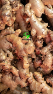 Jahe Merah fresh organik kemasan 250 gram dan 1 kilogram