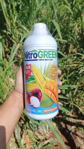 Pupuk NITROGREEN Urea Cair 1 Liter Galaxy PLUS ZPT Untuk Padi Jagung Sayur Kelapa Kedelai Sawit
