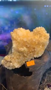 Ổ đá thạch anh vàng Citrine hình núi pha lê tán sắc lấp lánh tự nhiên vũ trụ kèm đế gỗ năng lượng mã 489