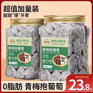 Preserved Plum with Raisin Snack 500g