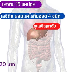 ส่งฟรี เลซิติน กิฟฟารีน Lecithin Giffarine ผสมแคโรทีนอยด์ และ วิตามินอี ดูแลตับ ไขมันพอกตับ ไขมัน ความดัน เบาหวาน 15 แคปซูล