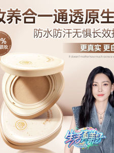 Long-Lasting Oil-Control BB Cushion Powder Foundation Waterproof Sweat-Proof Even Skin Tone Acne-Skin Care Makeup