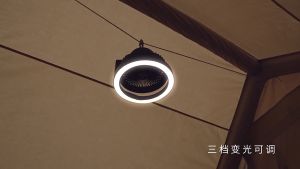 Quạt Dã Ngoại Kiêm Đèn LED Naturehike Sạc USB Đa Năng NH21ZM003