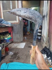 sabit arit ledreng jumbo pengaritan baja isen cp tapak kuda wonosobo super