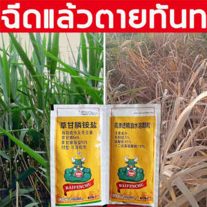 ใช้1ครั้ง50ปีไม่มีวัชพืช ยาฆ่าหญ้า กำจัดวัชพืชได้ทุกประเภท ไดัผล 1000% ผงกำจัดวัชพืช ทำให้รากหญ้าเน่าเปื่อย หญ้าร้ายตายไม่เหลือ ถั่วลิสงน้ำ ฮิวมูลัส หญ้าเอ็นวัว มุง ฯลฯ ยาฆ่าหญ้าในนา ผงฆ่าหญ้า ยาฆ่าหญ้าแบบผง ยากำจัดวัชพืช ยากำจัดวัชชพืช ยาฆ่า หญ้า