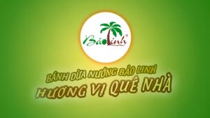 Bánh Dừa Nướng Bảo Linh - Đặc Sản Truyền Thống Quảng Nam - Thơm Ngon Giòn Béo Ít Ngọt - Vị Gạo Lứt Mè Hộp 180g