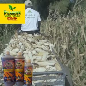 PLANZEN ORGANIC LIQUID FERTILIZER FOR CORN