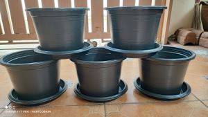 กระถาง 10 นิ้ว พร้อม จานรองกระถาง 10 นิ้ว แพ็คละ 5 ชุด ได้กระถาง 5 ใบ จานรอง 5 ใบ