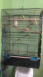 Papapet Bird Cage Double Layer Breeding Cage Heightened Parrot Cage With Accessories Breeding Cage Luxury villa birdcage