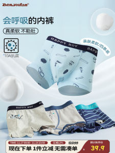 Boys Breathable Underwear A-Class Loose Boxer Shorts Children Spring Autumn New Style Soft Loose Comfortable Shorts Innerwear