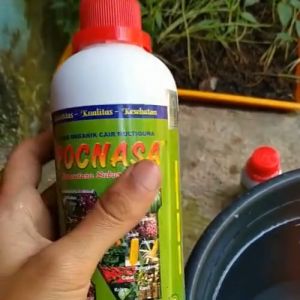 Pupuk Labu Kuning Pupuk Tanaman Labu Kuning Pupuk Penyubur Buah Labu Kuning Pupuk Booster Labu Waluh Kemasan Pupuk Labu 250 Ml Fertilizer 100% Organik - Lazada