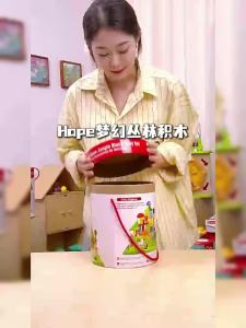 Hape | Educational Building Blocks 100 Pieces