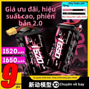 High Discharge Rate Smooth Flight 2.0 Battery 6S 22.2V 180C