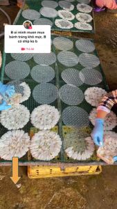 1kg Bánh Tráng Mực Sữa Cà Mau (Thơm Béo Dai)- VỰA KHÔ MINH TRIẾT