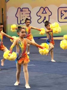 Bộ Đồ Thể Dục Nghệ Thuật Chuyên Nghiệp Dành Cho Nữ Bộ Đồ Thể Dục Aerobic Thể Thao Thể Dục Cung Cấp Phục Vụ Cho Các Đội Thể Thao