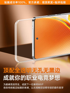 Ultra-Thin 3D Ultra-Sonic Fingerprint Unlock Tempered Glass Screen Protector for iQOO Neo10 Pro+ Neo9 Spro+ iQOO 13 Privacy Guard