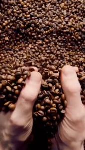 Kopi Bubuk Robusta 1 Kg Selera Nusantara
