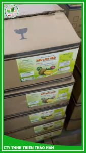 Phân bón vi lượng  - Phân bón MT1. SIÊU LỚN TRÁI. Chai 500ml