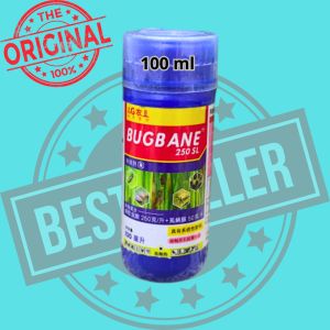 Bugbane Insektisida Ampuh Mengatasi Wereng Kutu Kebul Thrips