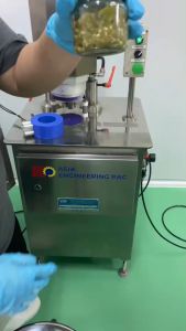 น้ำพริกหนุ่ม ย่างเตาถ่าน ไม่ใส่ปลาร้า ทานน้ำพริกหนุ่มคู่ แคบหมูกากหมูทอด