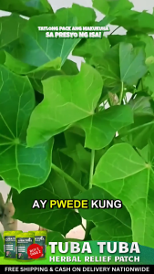 ~~ Tuba Tuba Relieve Healing Patch  Gout Organic Natural  Herbal Pain Reliever #1 Effective  ***